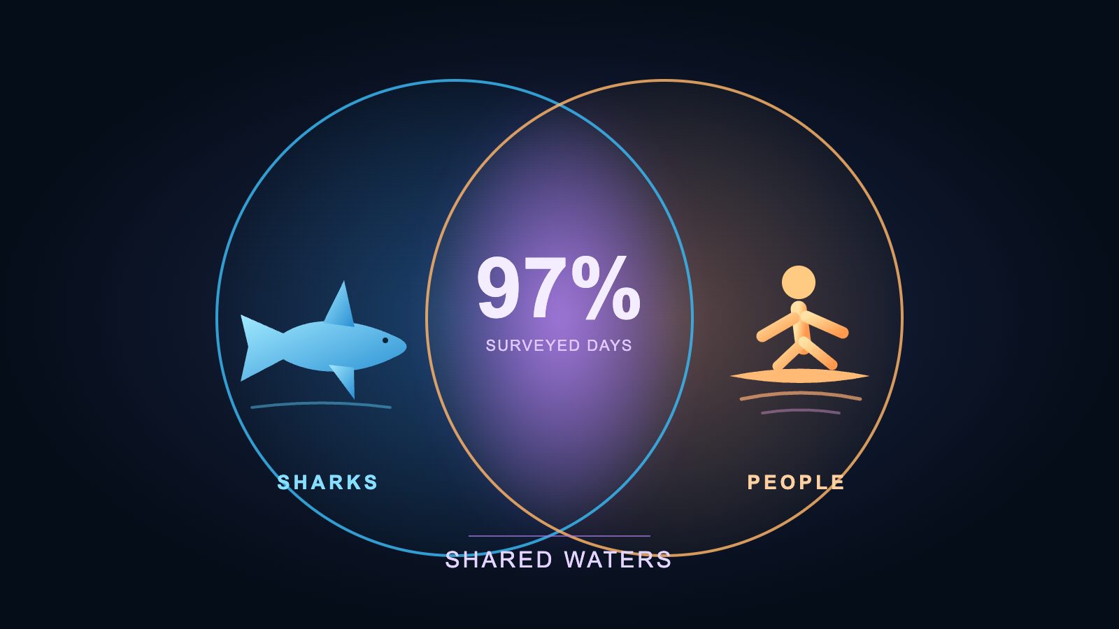 Sharks and people shared hotspots on 97% of surveyed days
